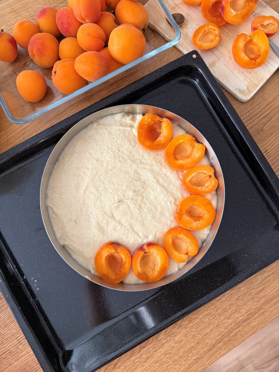 Veganer Joghurt-Marillen-Streuselkuchen Veganer Joghurt-Marillen-Streuselkuchen, Chief of Sugar