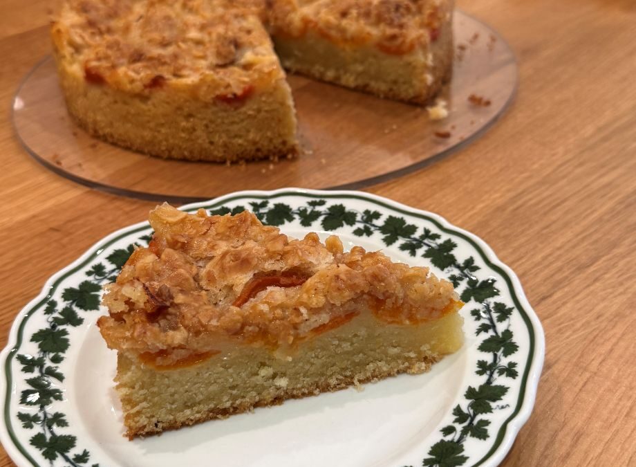 Veganer Joghurt-Marillen-Streuselkuchen