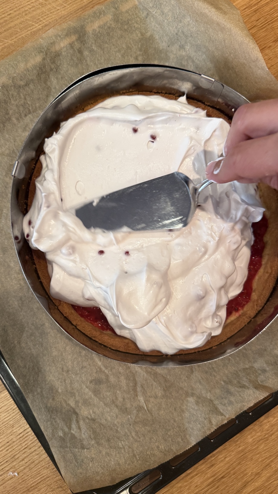 Vegane Ribisel Schaumtorte_ Chief of Sugar